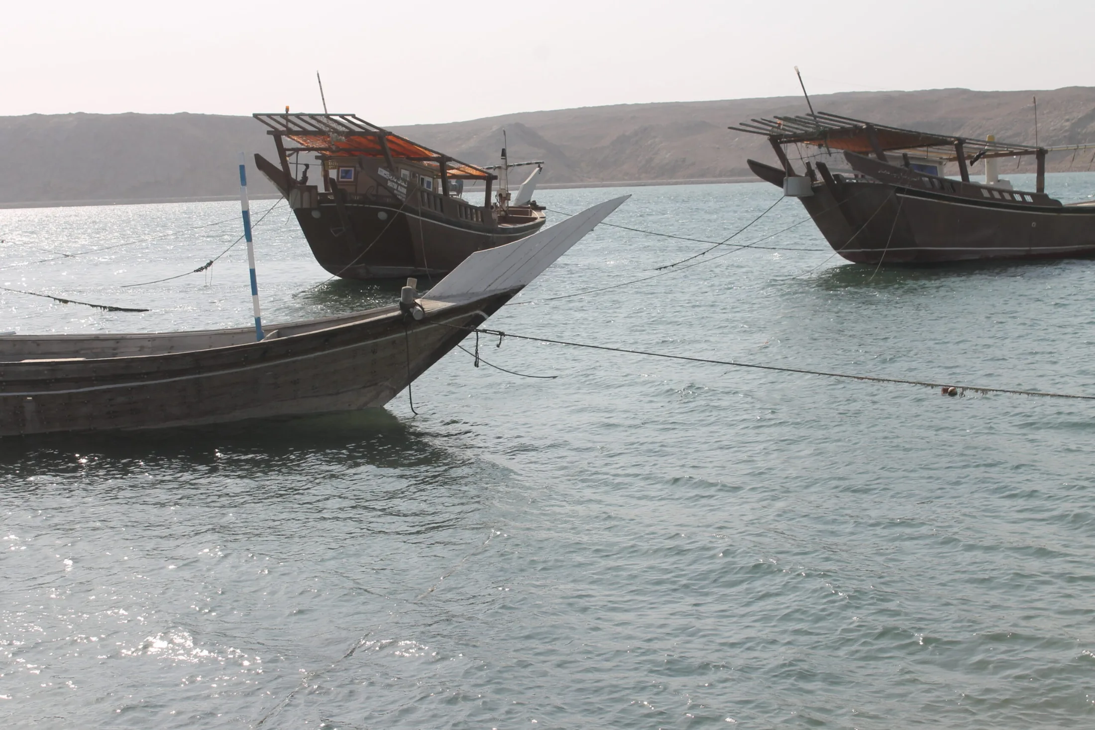 Traditional wooden dhows moored in Sur, Oman